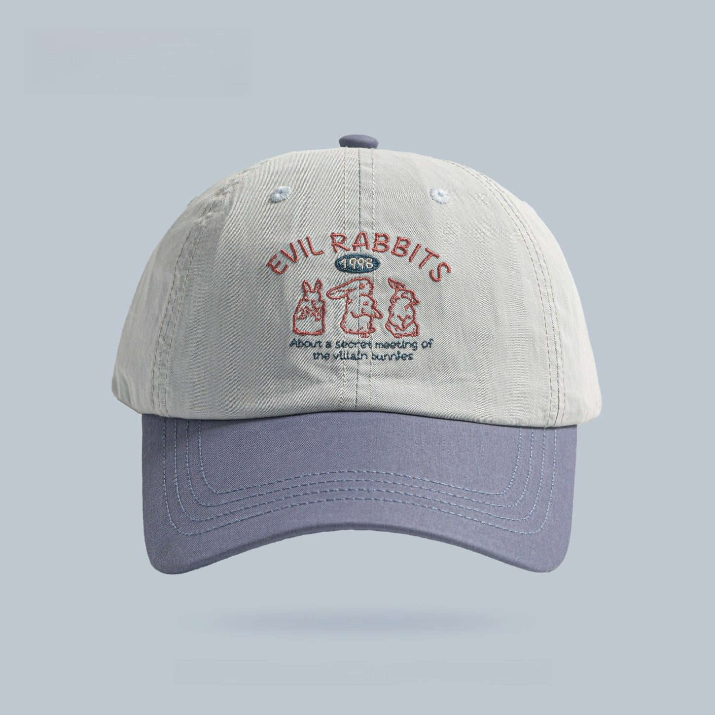 Cute Rabbit Embroidery Color Block Hat