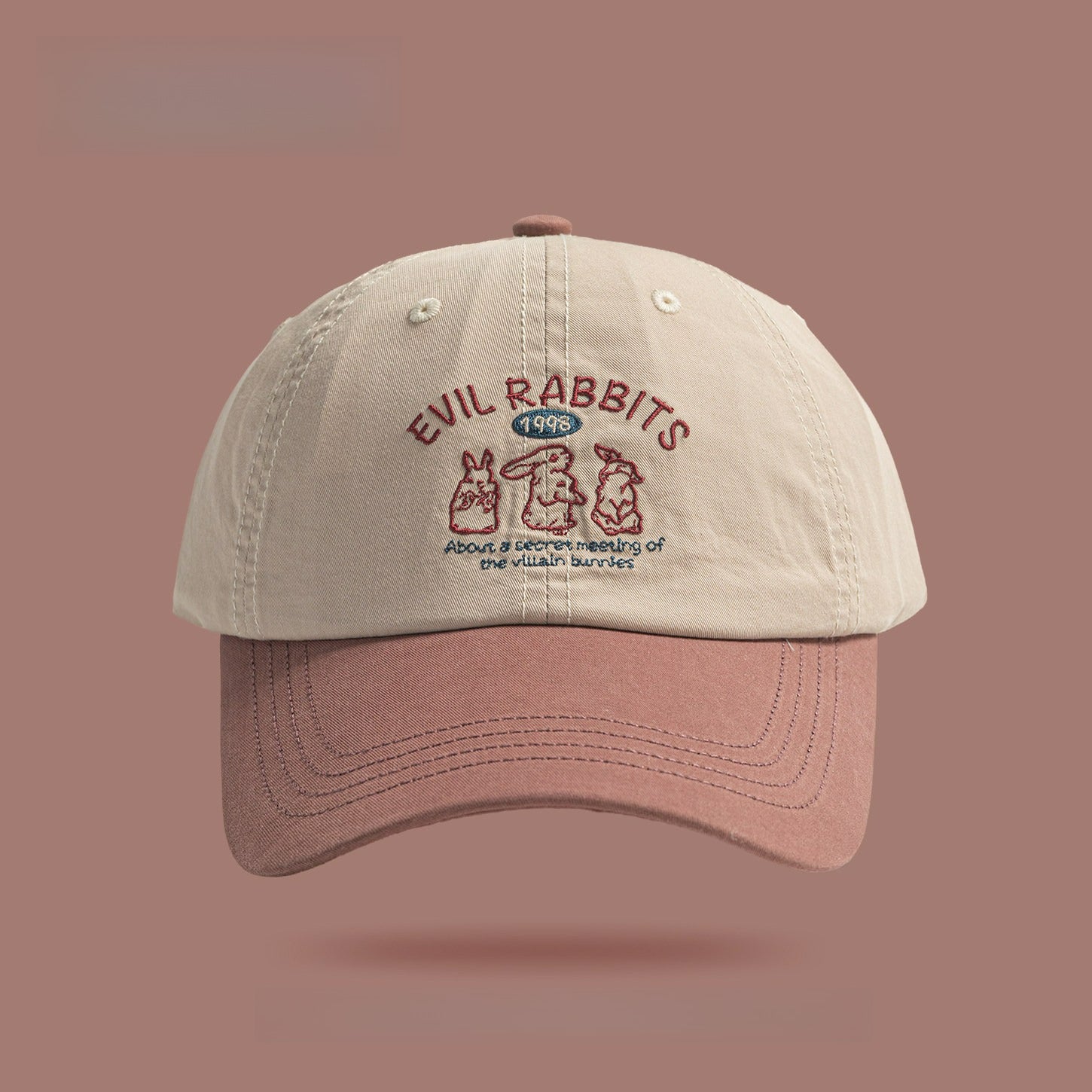 Cute Rabbit Embroidery Color Block Hat